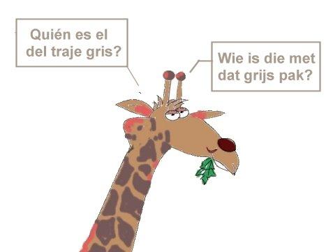 Giraf die vraagt: wie is die met dat grijs pak?
